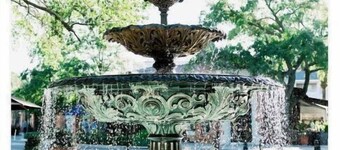 The M’s Cozy Corner