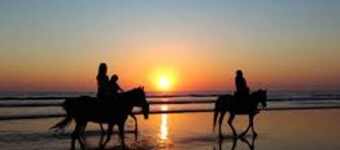 Hamptons In Rye Green Room 3 Mins to Hot Springs!