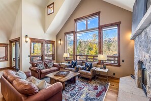Smart TV, fireplace, video library