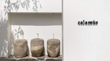 Stylish facade with stone planters and a prominent sign.