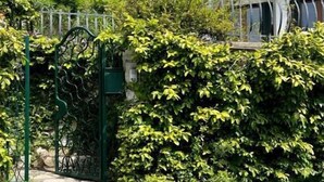 A white building with a gated entrance, stone steps, and lush greenery. - Villa with sea view Sestri Levante (Sestri Levante)