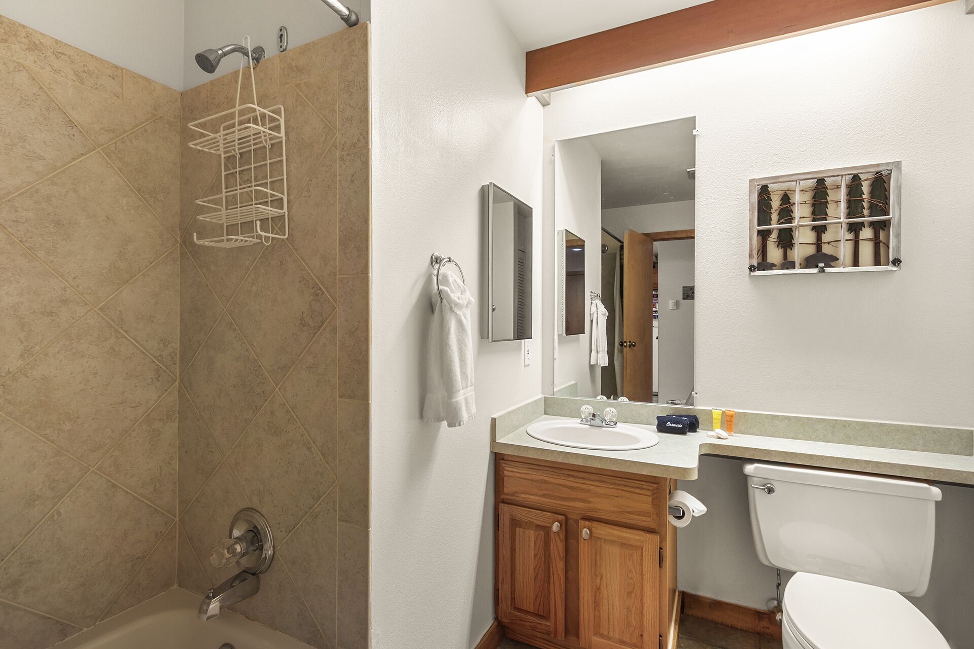 A bathroom with a shower, a sink, a toilet, and a mirror.