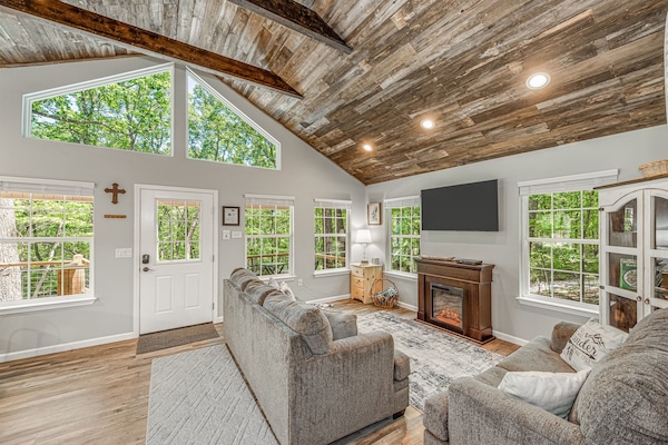 Smart TV, fireplace, DVD player, books
