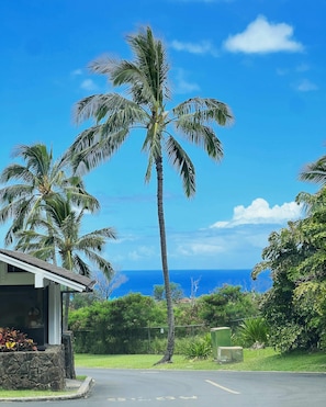 Enjoy breathtaking ocean views from this serene beachfront property.