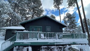 Une cabane à l’extérieur vert et dotée d’un porche abrité, entourée d’arbres couverts de neige.