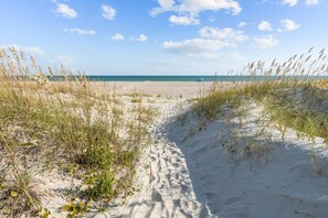 Un sentiero sabbioso che conduce all'oceano, con vegetazione rada.