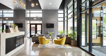 Stunning Studio Apt near Broad Ripple CozySuites