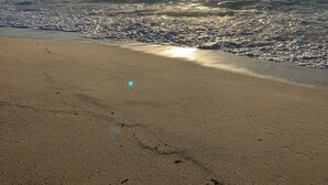 Ein Strand mit der Sonne, die sich im Wasser spiegelt und so einen schimmernden Effekt auf dem Sand erzeugt.