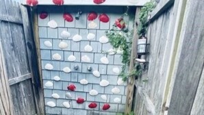 Uklassifisert bilde, 4 av 18, knapp