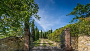Un chemin de pierres qui traverse un jardin, avec une porte en métal, le tout entouré d’arbres et de verdure.