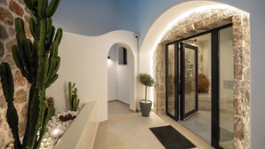 A hallway with a stone wall, a cactus, and a potted plant. - CUORE SANTO SUITES  (Santorini)