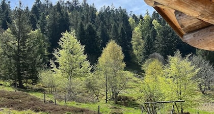 Magnifique chalet en rondins 6/8 personnes avec SAUNA Ă LA BRESSE - Garage