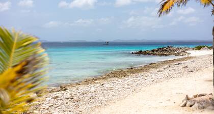 Lighthouse Beach Resort / Ocean View