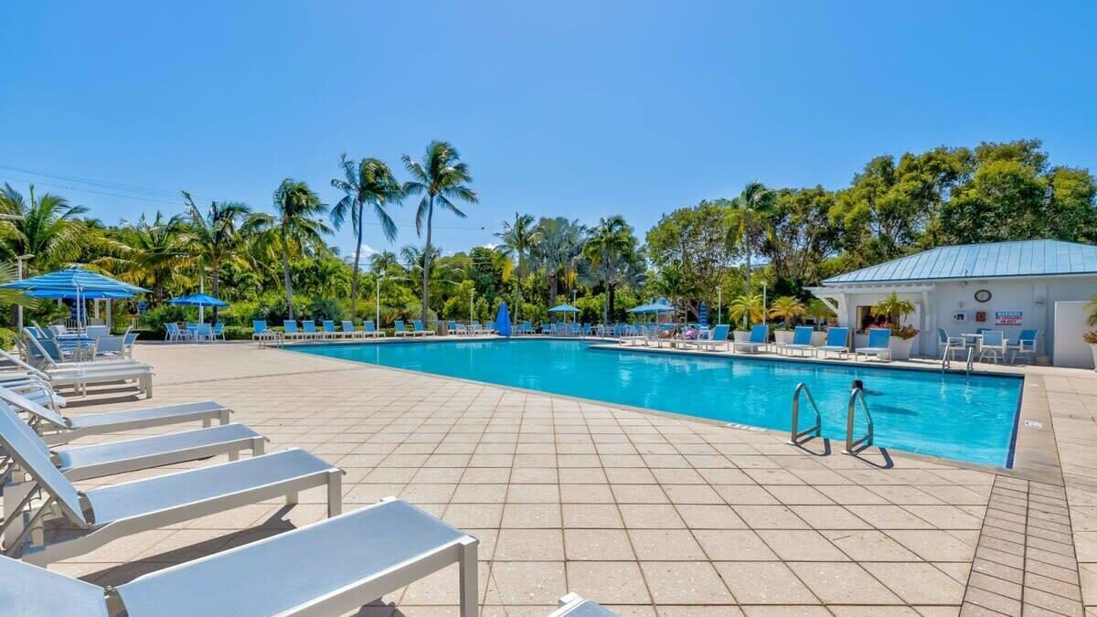 A swimming pool with lounge chairs and umbrellas, surrounded by palm trees.