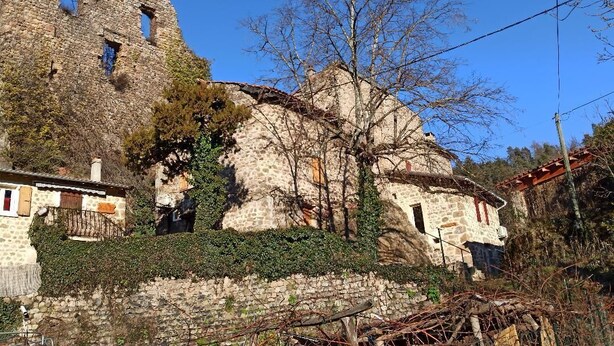 Un edificio de piedra con paredes cubiertas de hiedra y un gran árbol en primer plano.