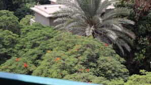 شرفة/رواق