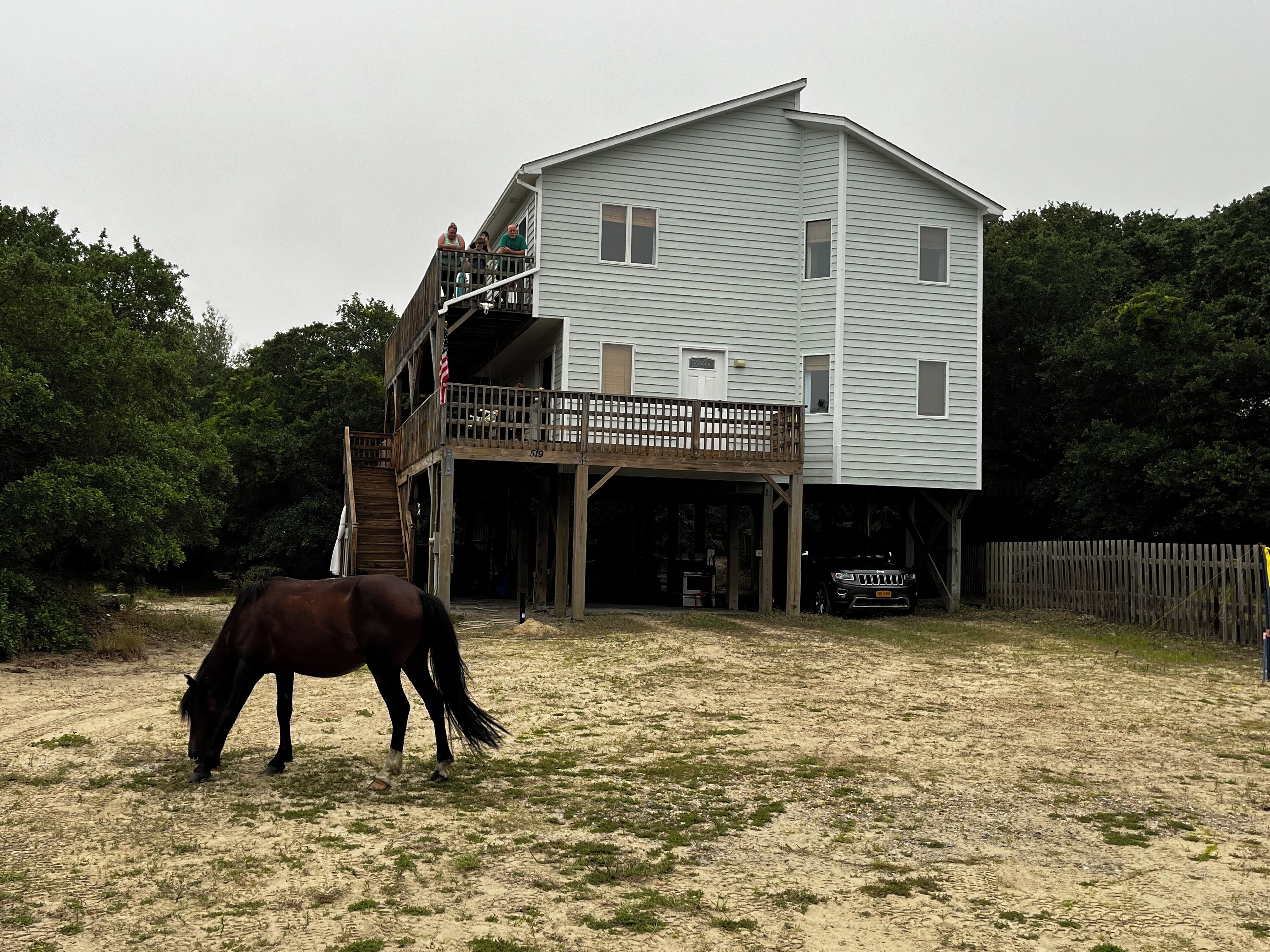 You may even see wild horses!