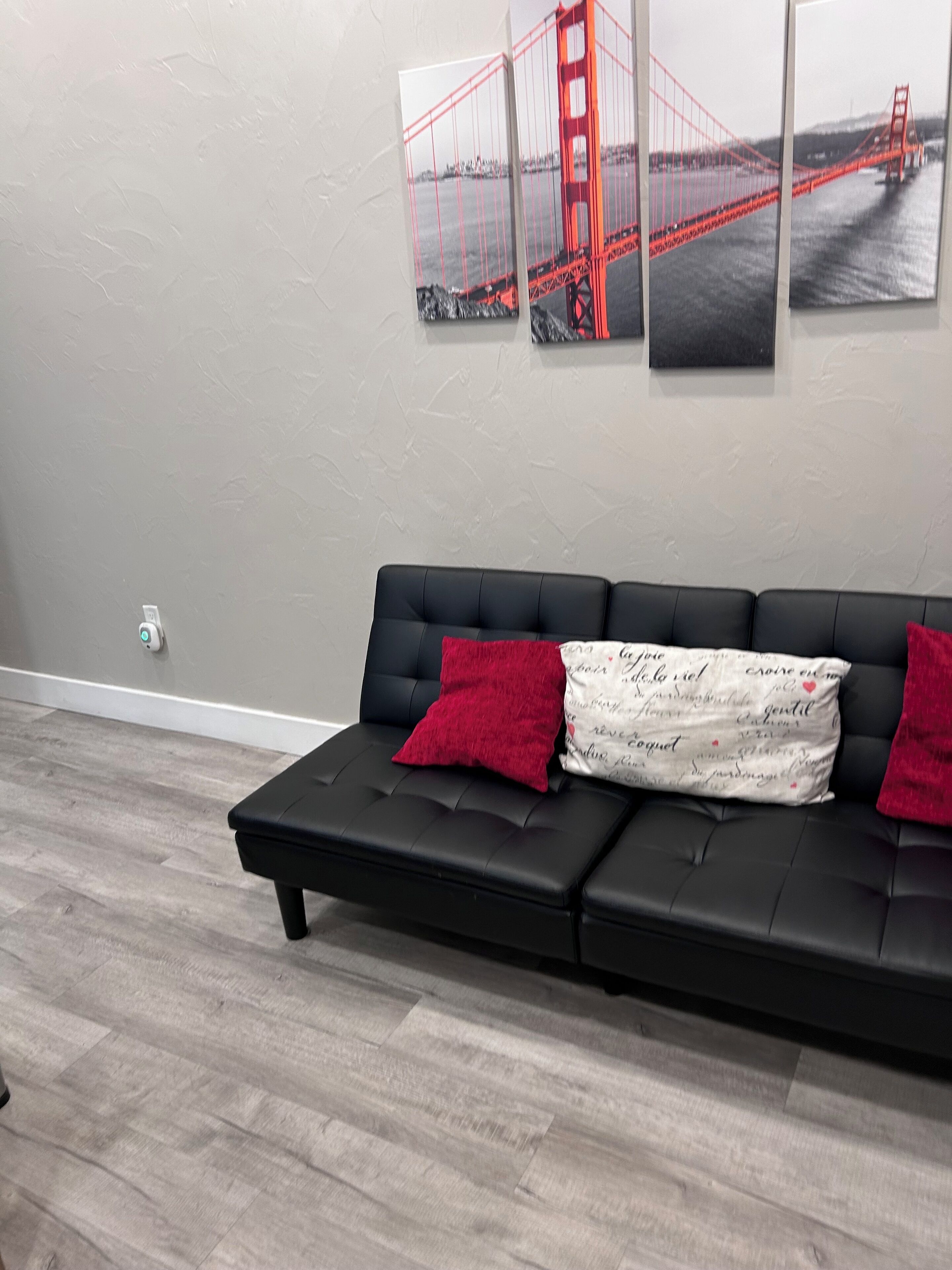 A modern room with a black leather sofa, two red cushions, and a wall-mounted picture of the Golden Gate Bridge.