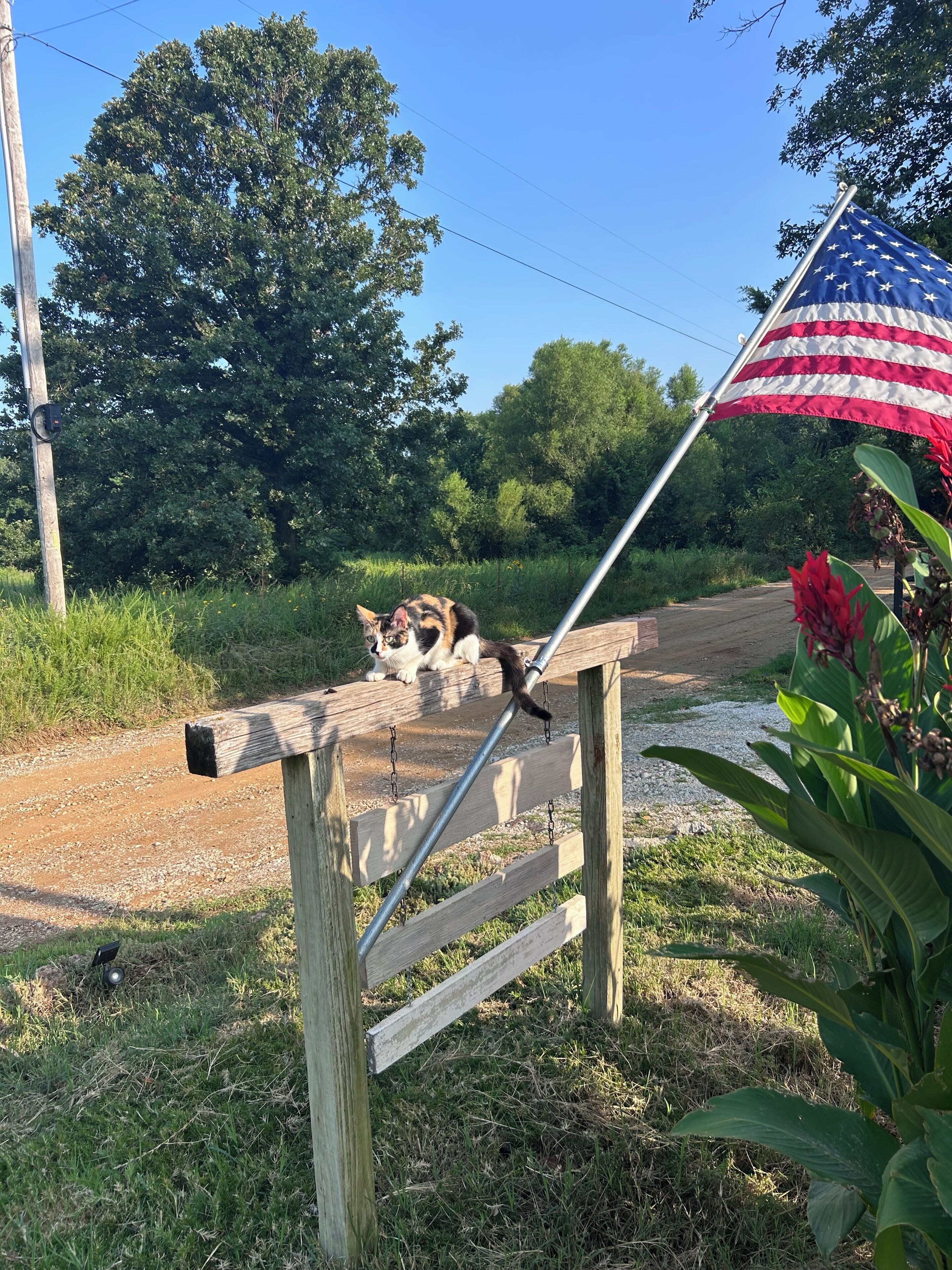 Une clôture en bois avec une barre métallique, un mât portant le drapeau américain, et un chat assis sur la clôture.