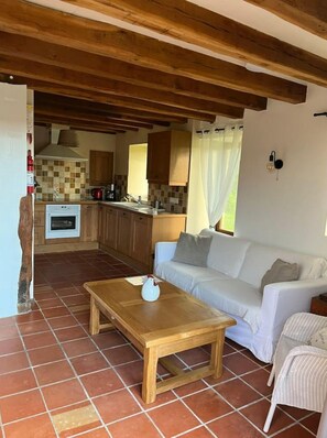 Smart-TV, Kamin
