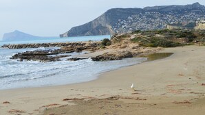 Una playa con afloramientos rocosos y un ave blanca sobre la arena.