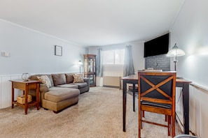 TV, fireplace, books