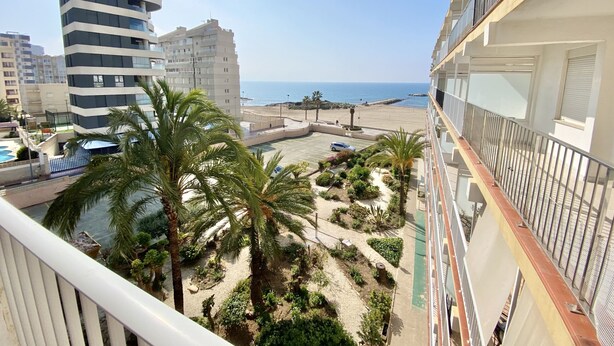 Un immeuble de grande hauteur offrant une vue sur la plage et un parking agrémenté de palmiers.