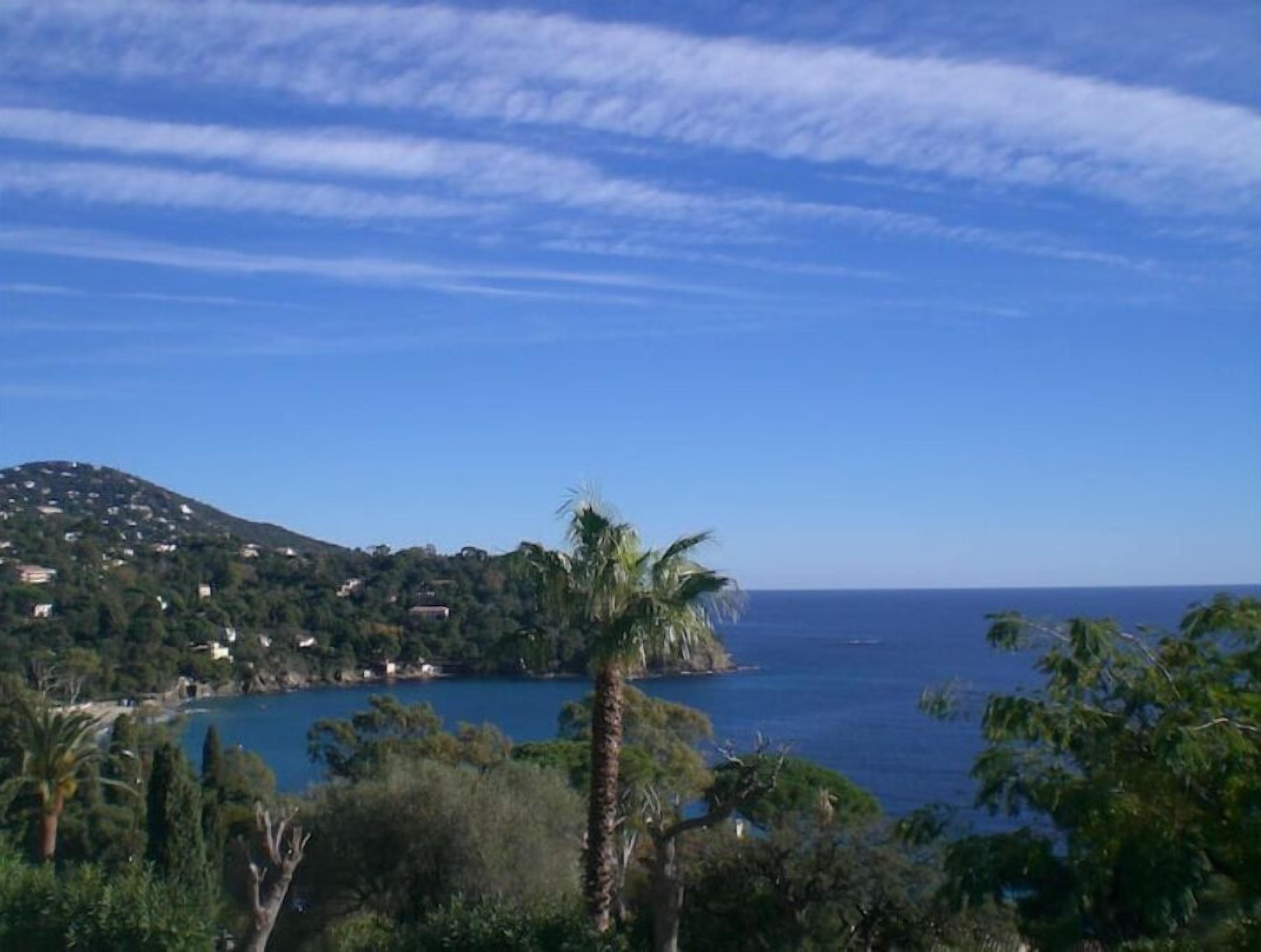 A coastal landscape with a hill, a body of water, and a palm tree.