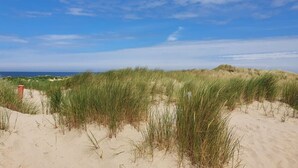 A sandy beach with dunes and sparse vegetation. - CS 53 - Vakantiepark Callassande (Callantsoog)