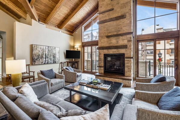 TV, fireplace, books