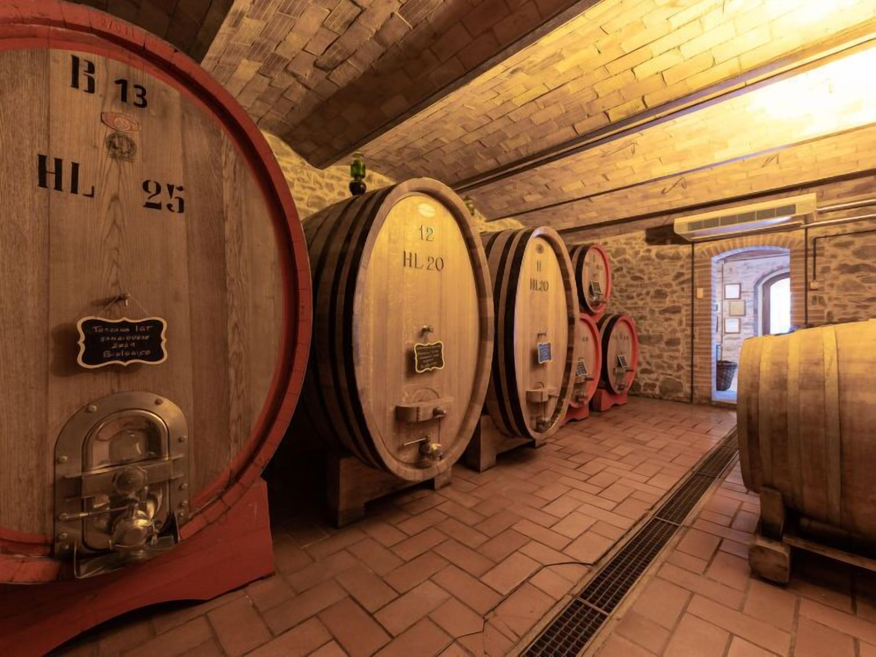 File di botti di legno in una cantina con pareti in pietra e pavimento in mattoni.
