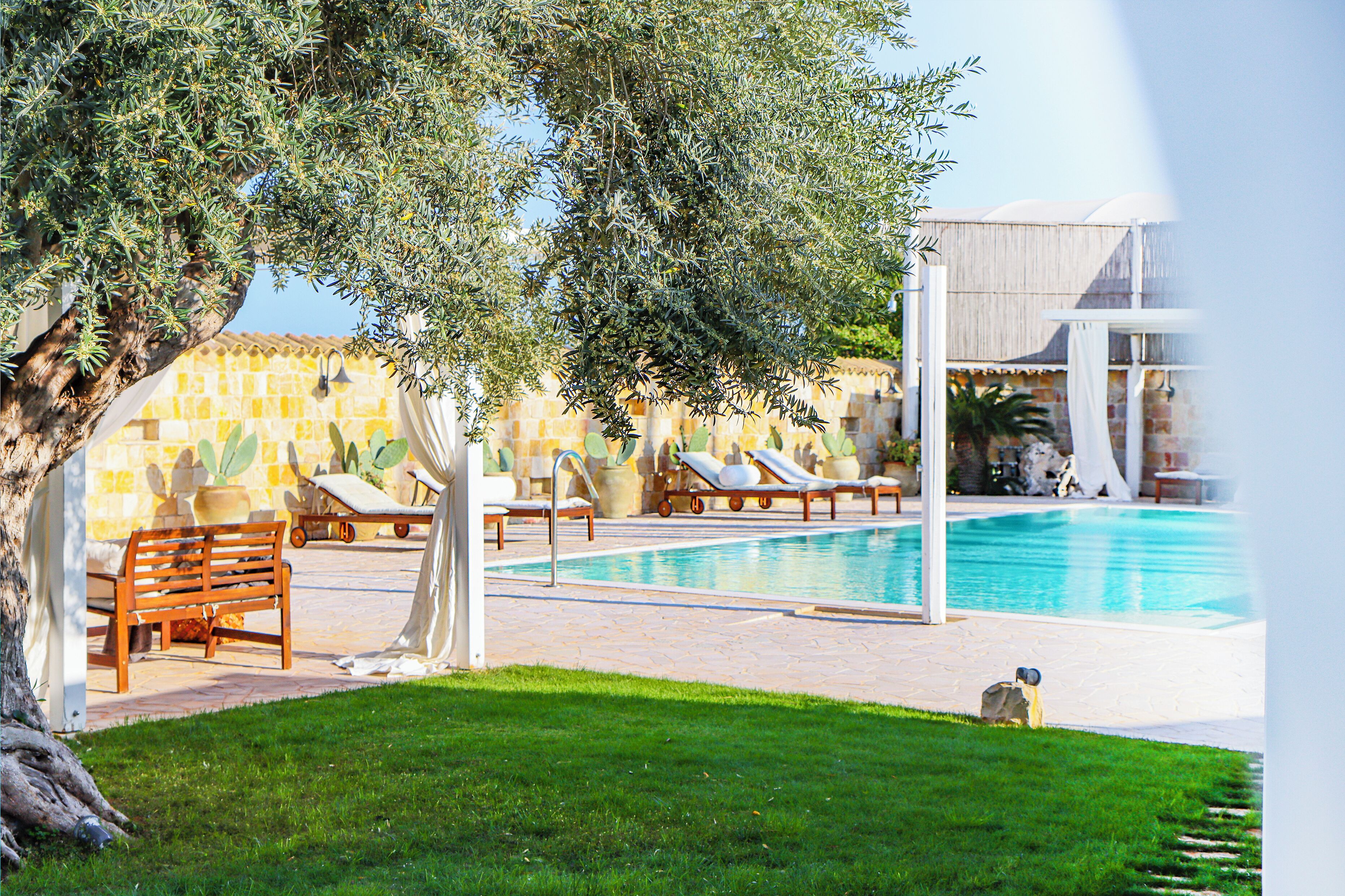 A pool area with lounge chairs, a wooden bench, and a tree.