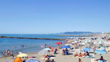 Playa en los alrededores