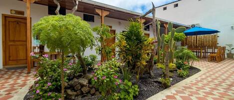 Un patio con suelo a cuadros, rodeado de plantas y cactus, y una estructura de pérgola de madera.