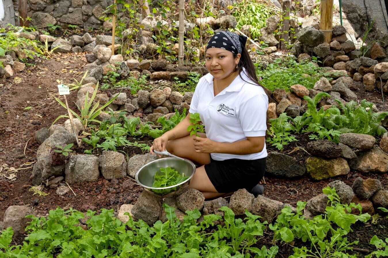 A person kneeling in a garden with a metal bowl, surrounded by rocks and green plants.