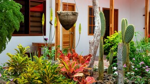 Un jardín con diversas plantas, una maceta colgante y una estructura de madera.