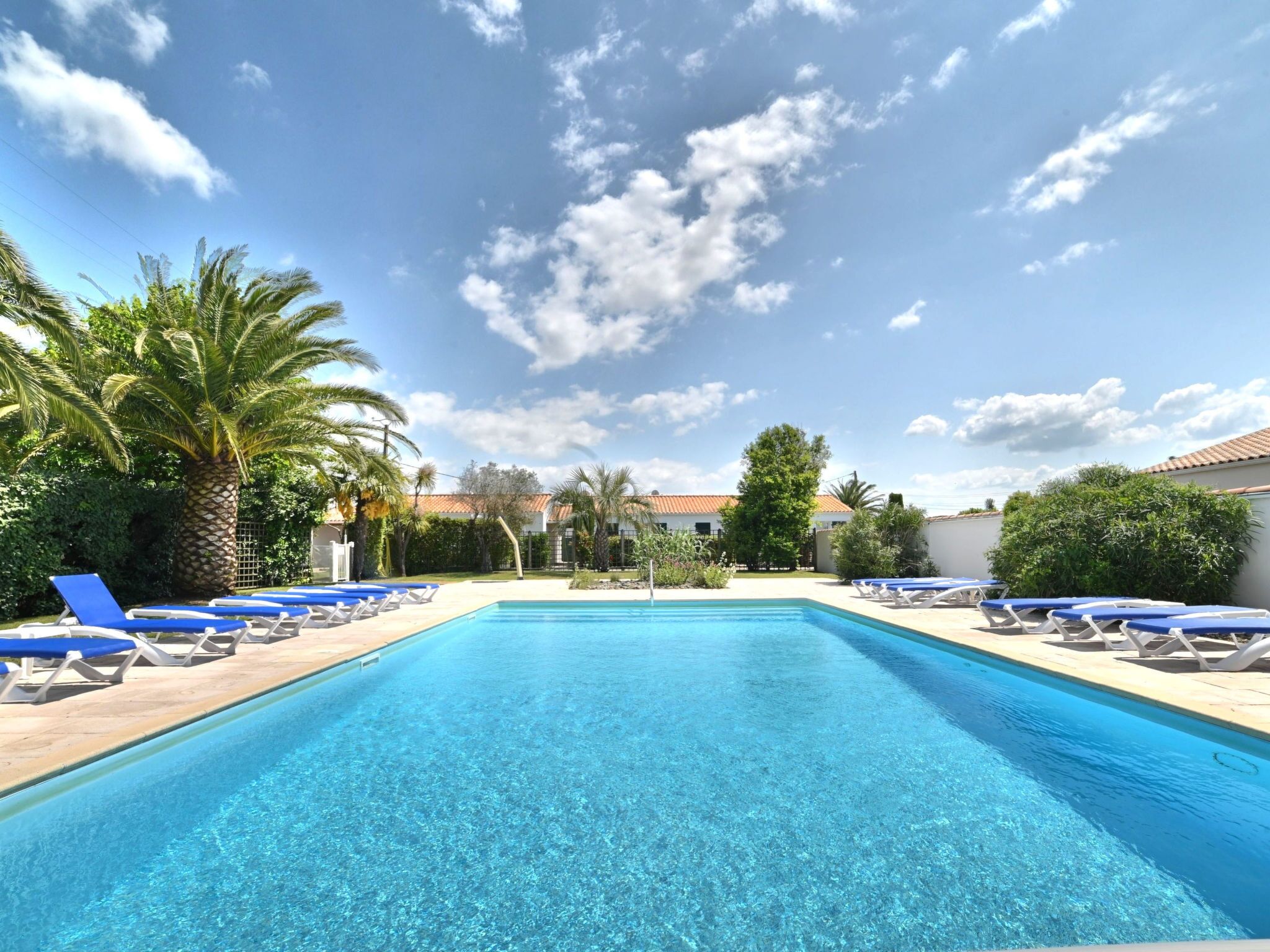 Ein rechteckiger Swimmingpool mit klarem, blauem Wasser, umgeben von Liegestühlen und Palmen.