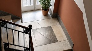A staircase with a potted plant, a white door with glass panels, and a view of the outside.