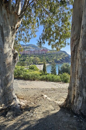 Un paysage naturel offrant une vue sur une colline, une étendue d’eau et un bâtiment situé au loin.