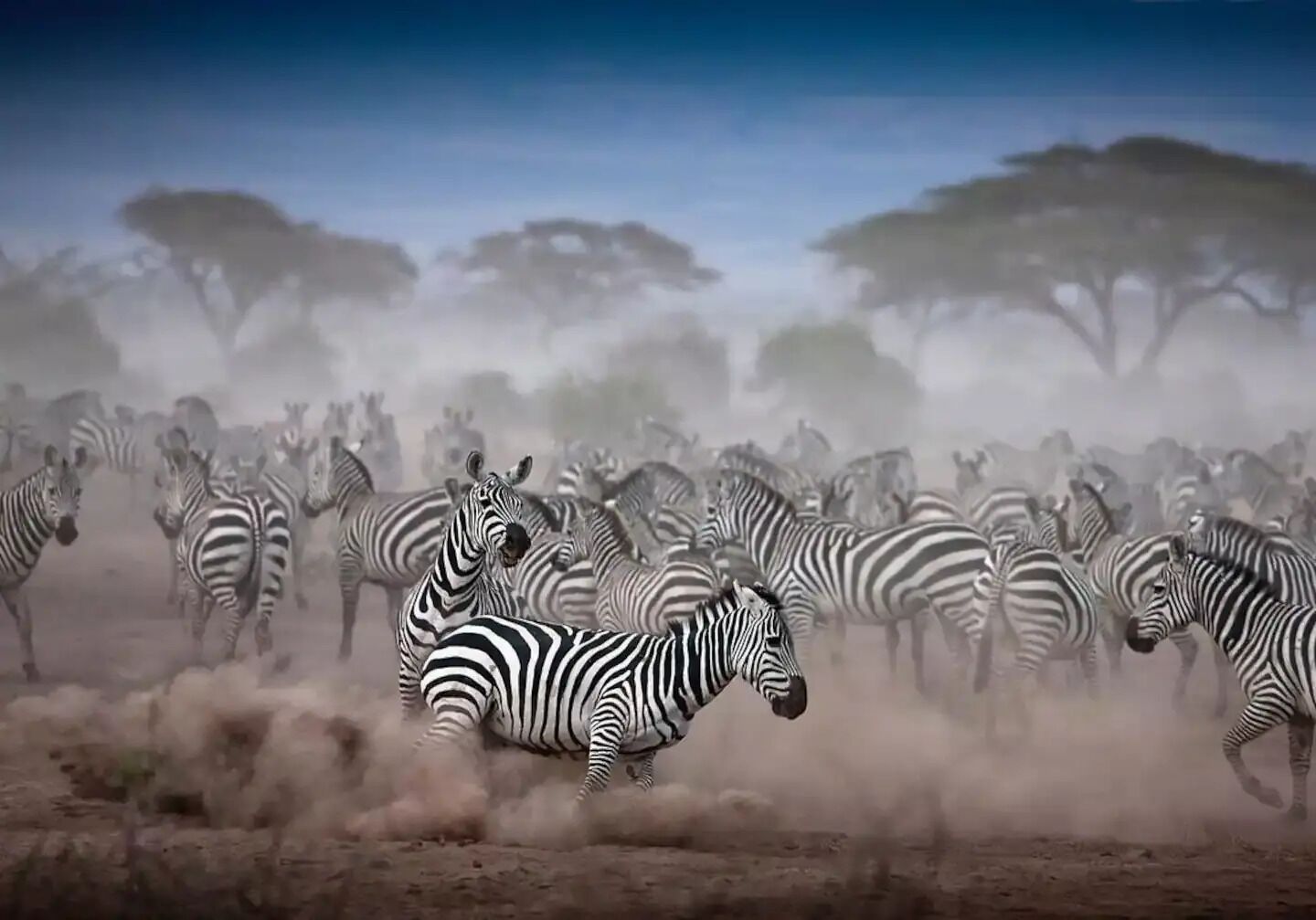 Détail de l’intérieur