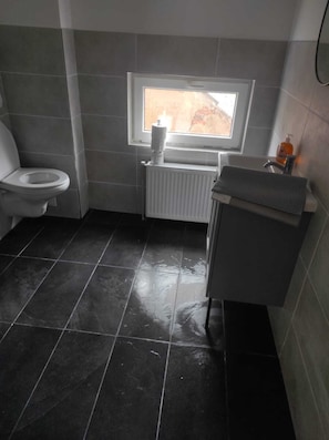 SĂšche-cheveux, serviettes fournies, papier toilette