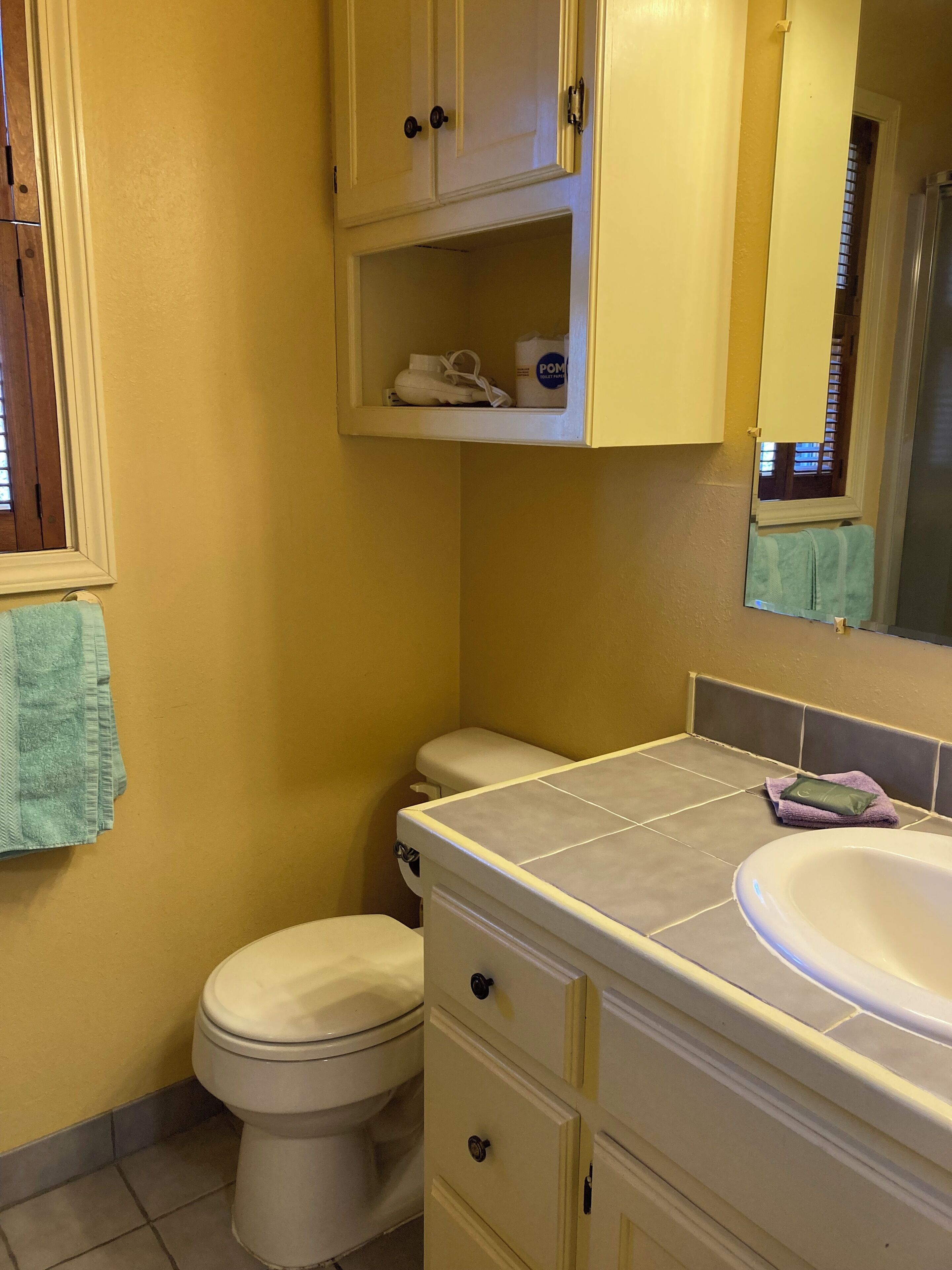 Shower, hair dryer, towels