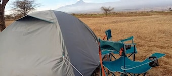 Camp David Amboseli