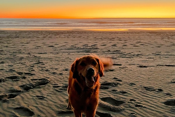 Una playa cerca, sillas reclinables de playa, toallas de playa
