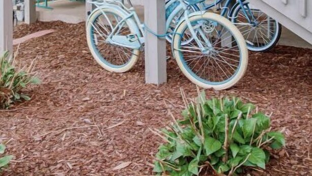 Un escalier avec une rampe blanche mène à un niveau supérieur. Des vélos sont garés au pied de l’escalier.