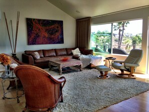 Smart TV, fireplace, video games, computer monitors - Located above the Village . Ocean Views from every level, amazing bird sanctuary (Laguna Beach)