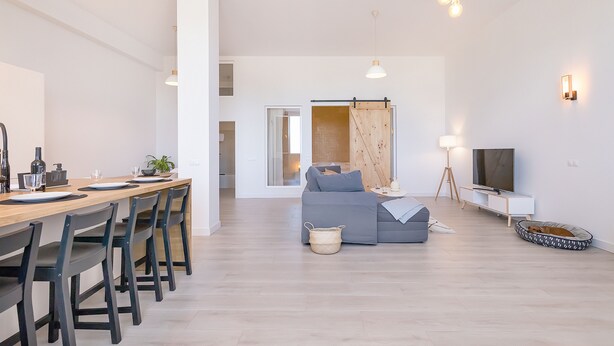 A modern living room with a sofa, TV, and pet bed. - Homey Apt. Cómpeta (Málaga)