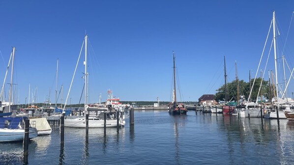 Marina