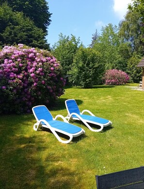 Property grounds - Kniep vacation apartment (Nebel)