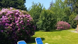 Two blue lounge chairs on a well-maintained lawn with lush green grass and flowering bushes. - Vacation apartment Odde (Nebel)